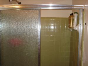 A lovely shade of green with a fabulous faux glass shower door- complete with fungus, mold, and mildew
